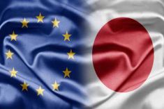 Vulcanus: Πρακτική άσκηση για φοιτητές της Ε.Ε. σε κορυφαίες εταιρείες στην Ιαπωνία
