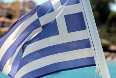 Διαδικτυακή ημερίδα «Σύγχρονες πρακτικές στη διδασκαλία της ελληνικής ως δεύτερης γλώσσας»